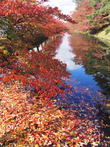 紅葉の弘前公園*2016.11.02_b0147224_20504717.jpg