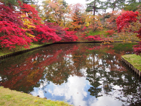 紅葉の弘前公園*2016.11.02_b0147224_20592317.jpg