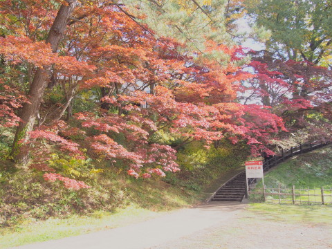 紅葉の弘前公園*2016.11.02_b0147224_2101680.jpg