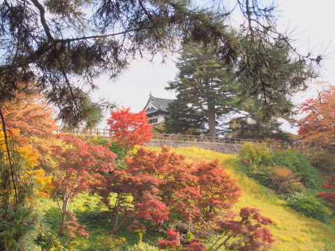 紅葉の弘前公園*2016.11.02_b0147224_2104642.jpg