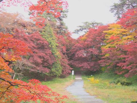 紅葉の弘前公園*2016.11.02_b0147224_2114855.jpg
