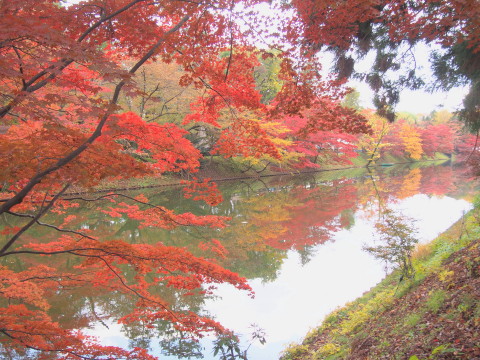 紅葉の弘前公園*2016.11.02_b0147224_2121514.jpg