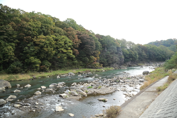 f0229832_08542173.jpg