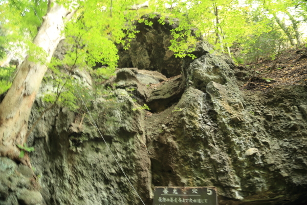 f0229832_08545087.jpg