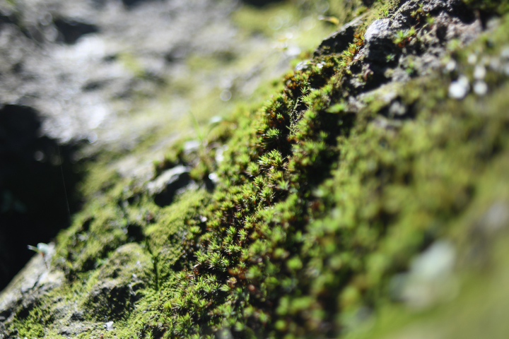 c0133133_15522158.jpg