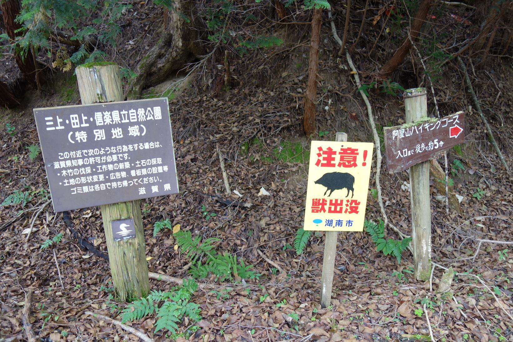 f0348933_19404337.jpg