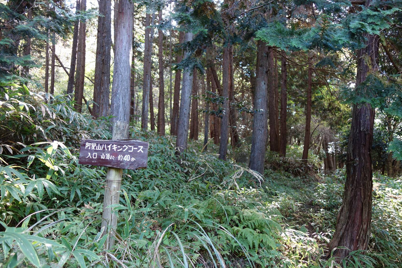 f0348933_19411917.jpg
