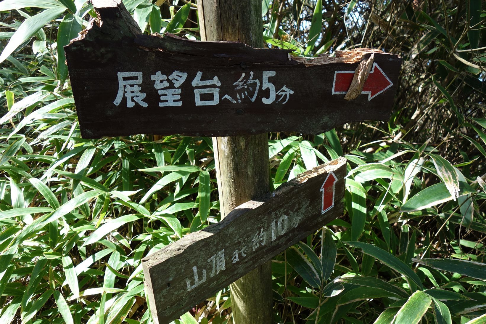 f0348933_19463508.jpg