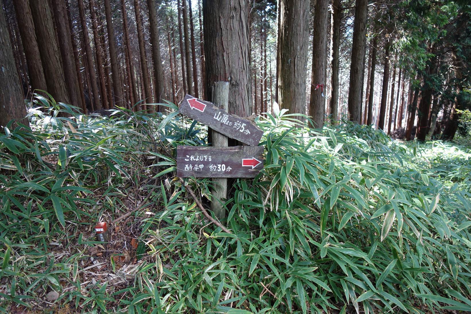 f0348933_19490092.jpg