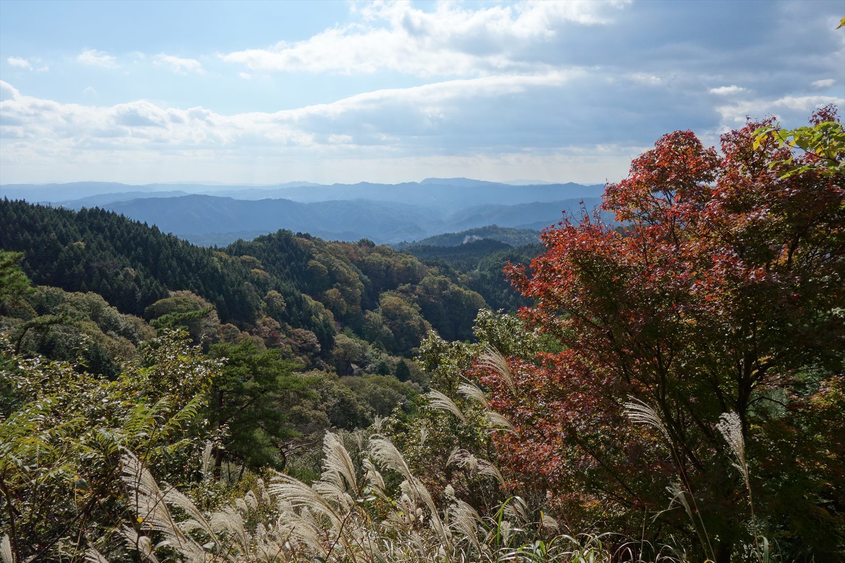 f0348933_19532559.jpg