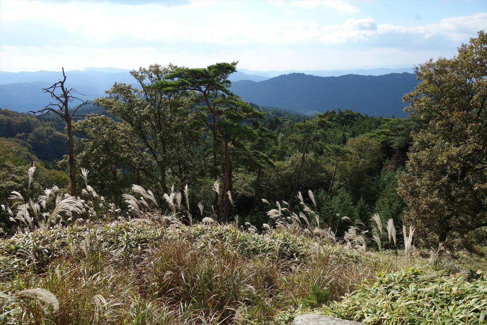 f0348933_19550110.jpg