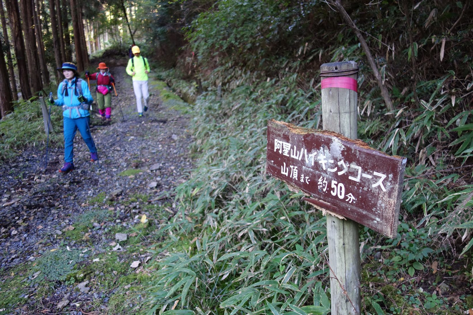 f0348933_20051187.jpg