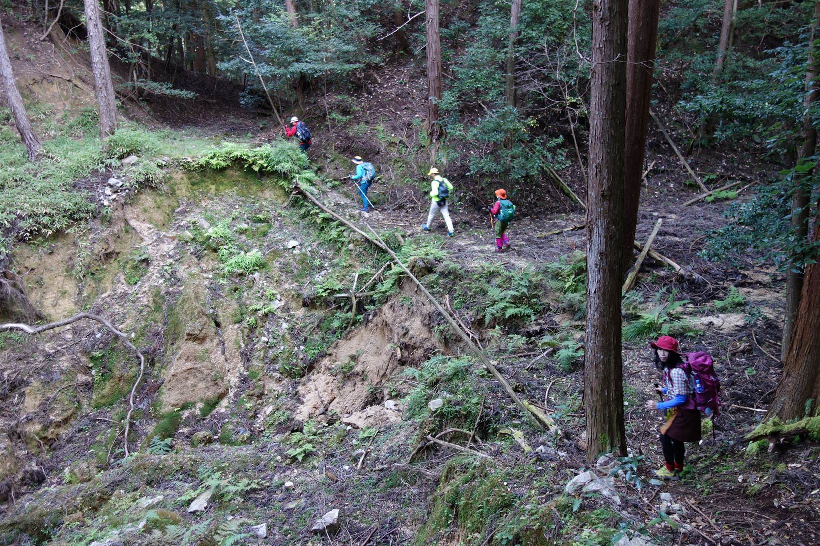 f0348933_20110853.jpg