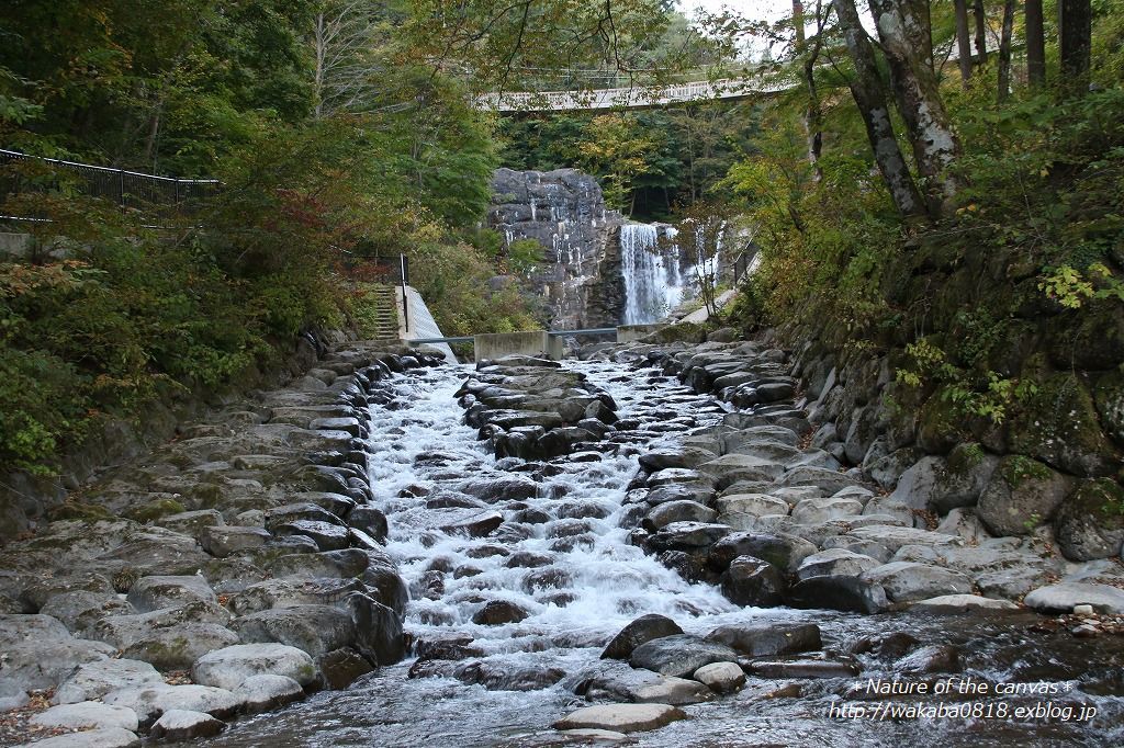 e0052135_21443171.jpg