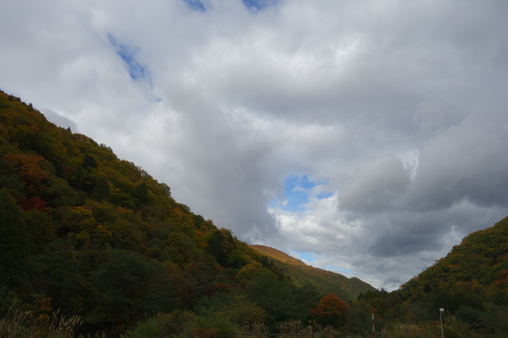 a0287336_2048473.jpg