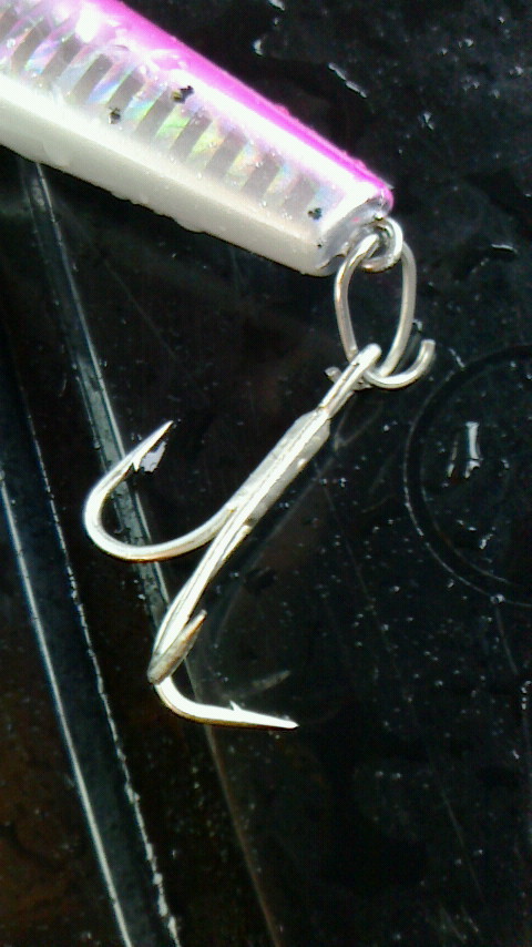 c0108336_23084646.jpg