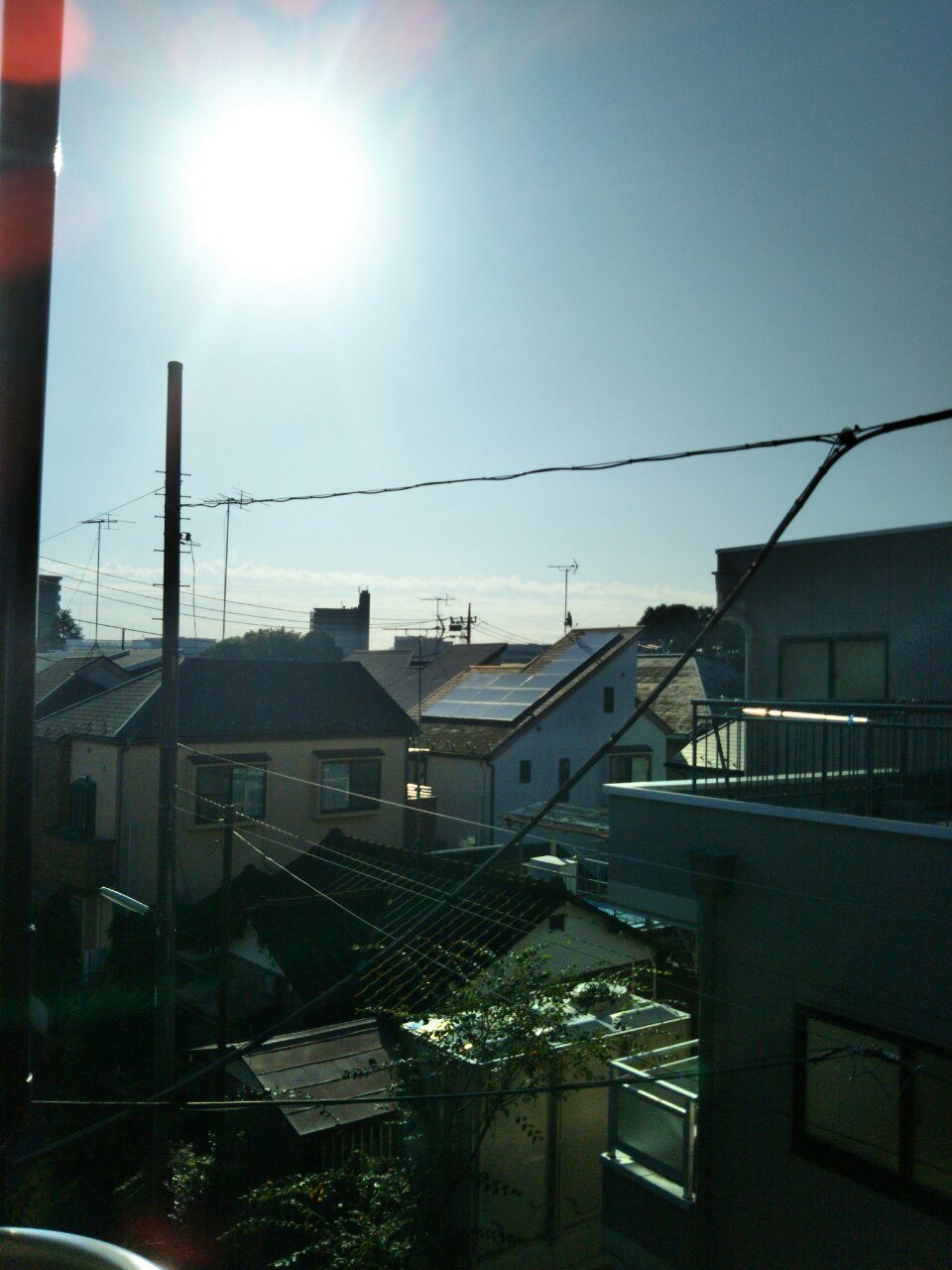 b0031140_8402371.jpg