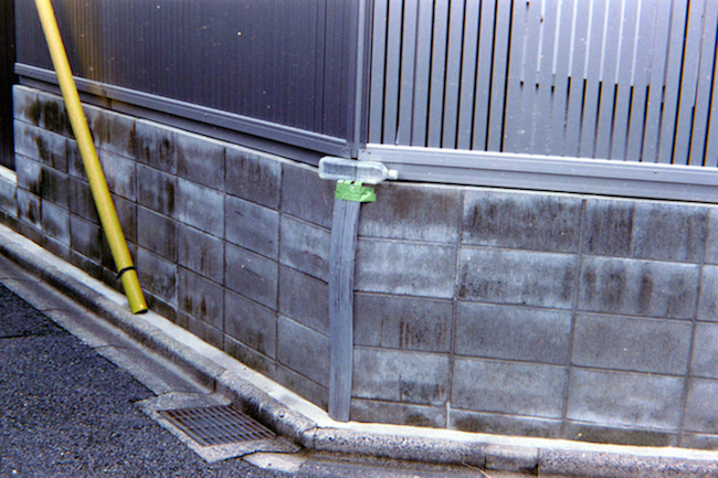 d0089742_20332408.jpeg