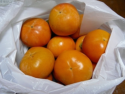 e0100043_17270840.jpg