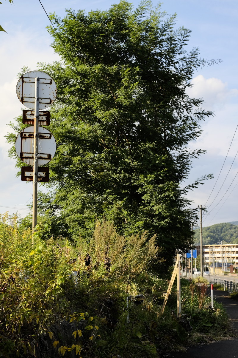 赤平自動車学校跡 20160925_a0186647_21462311.jpg