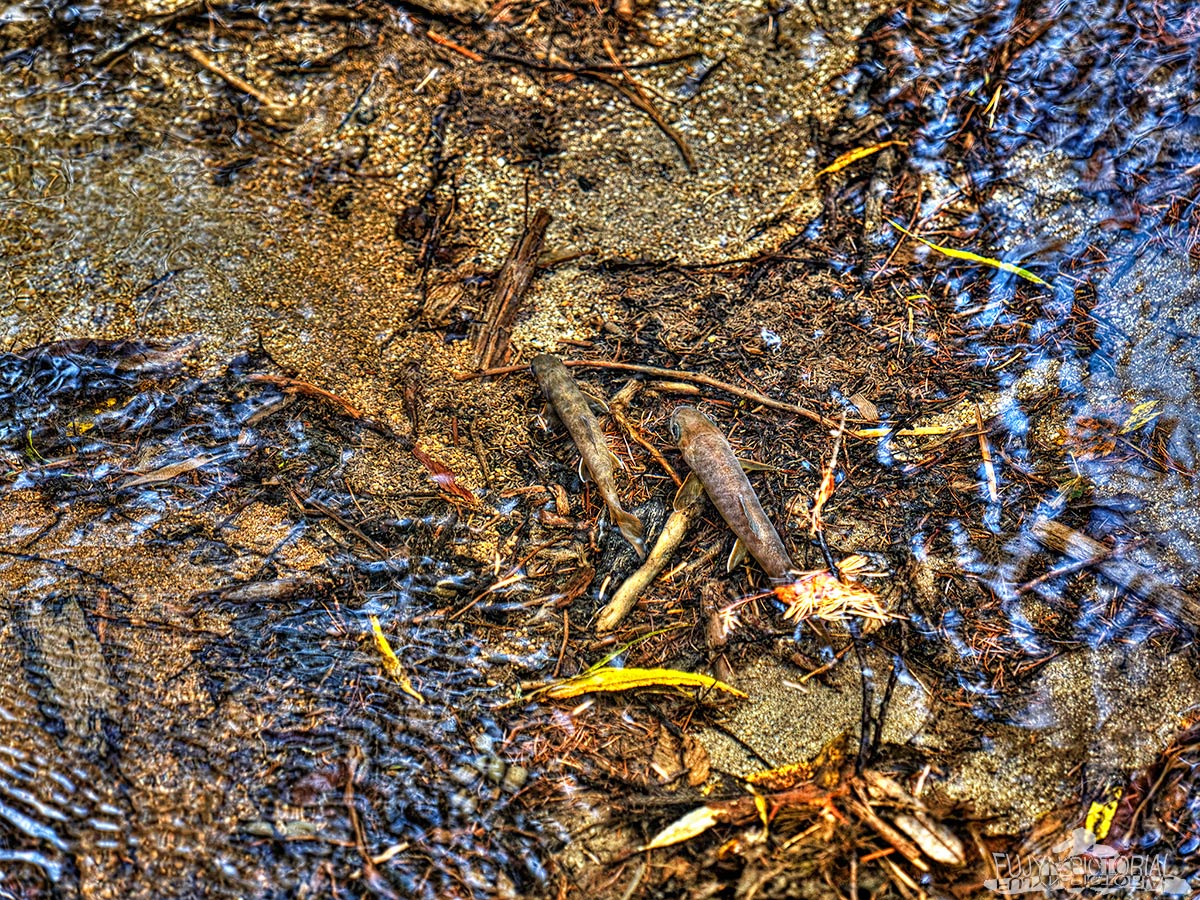 b0135347_0222728.jpg