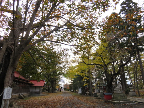 b0238249_20335332.jpg