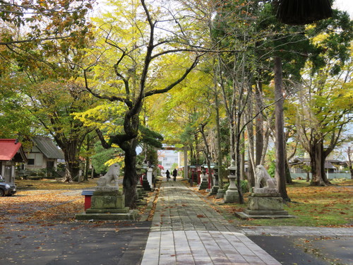 b0238249_20351231.jpg