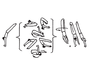 e0303850_20464659.png