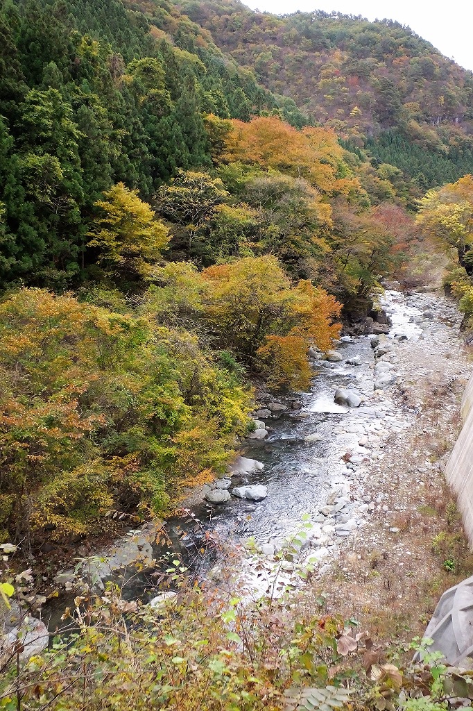 b0236251_15175016.jpg