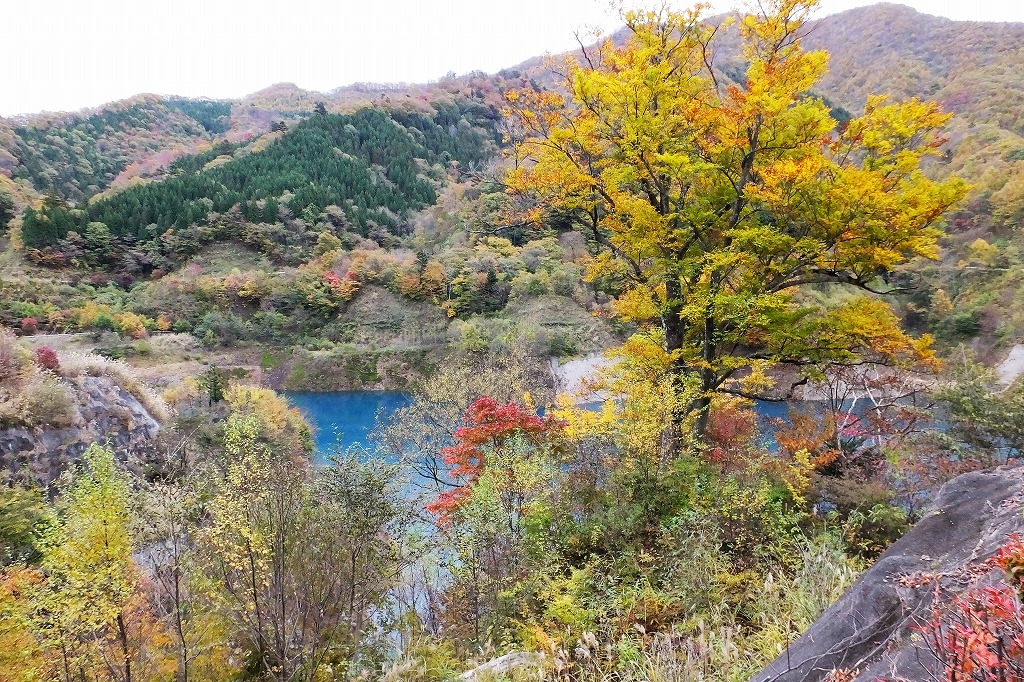 b0236251_15253630.jpg
