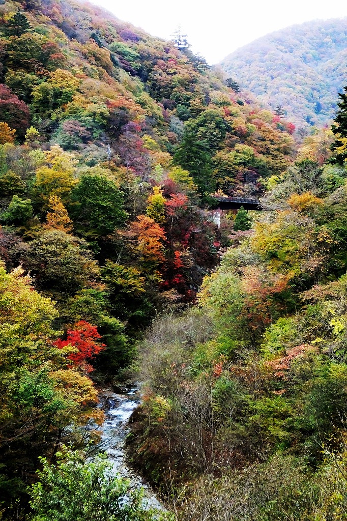 b0236251_15274974.jpg