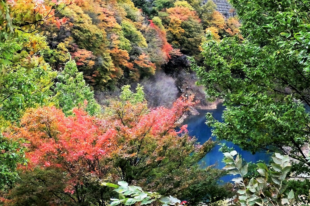b0236251_15344752.jpg