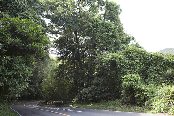 c0092152_02464354.jpg