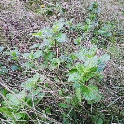 f0378053_22493323.jpg