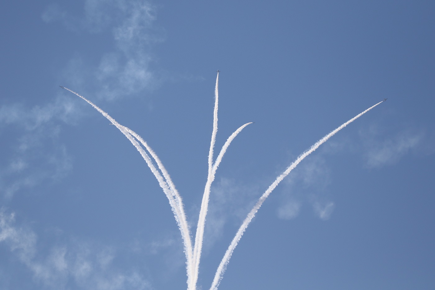 a0142459_17312339.jpg