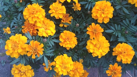 c0190960_21193257.jpg