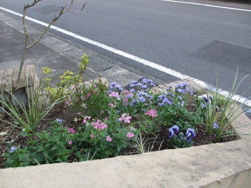 寄せ植えとアプローチ横の花壇とミニ花壇の植え替え 小さな棲家