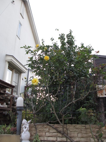a0243064_21492226.jpg