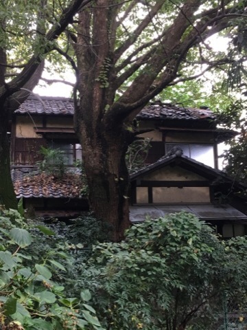 f0363168_18435150.jpeg