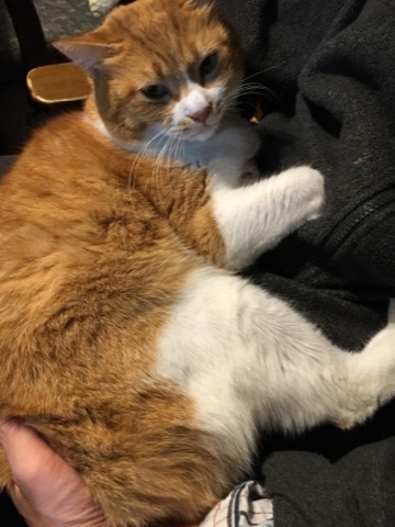 f0363168_19005820.jpeg