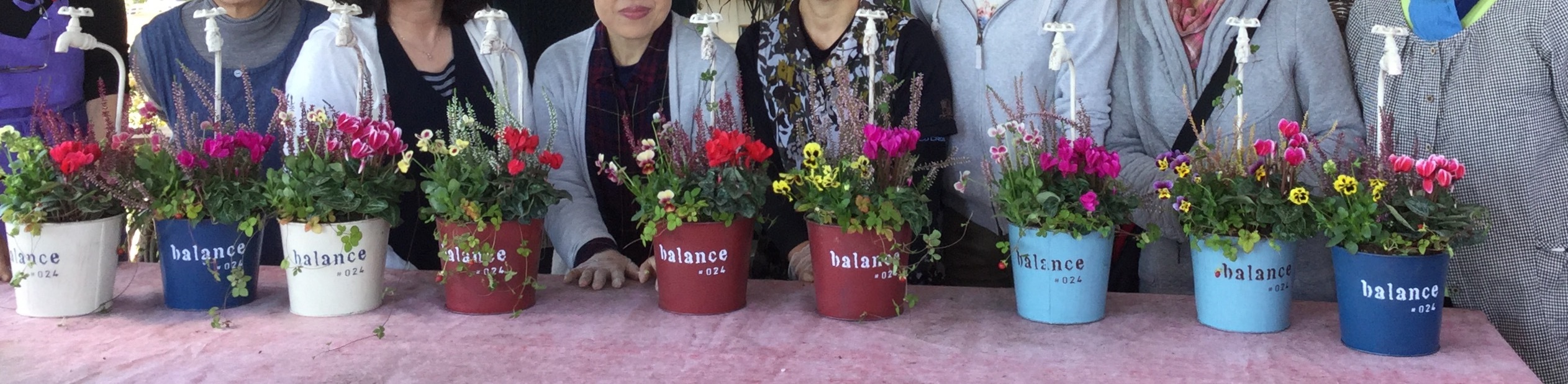 今年は 可愛いブリキにしてみました 寄せ植え教室 宮崎の花屋 アナーセン