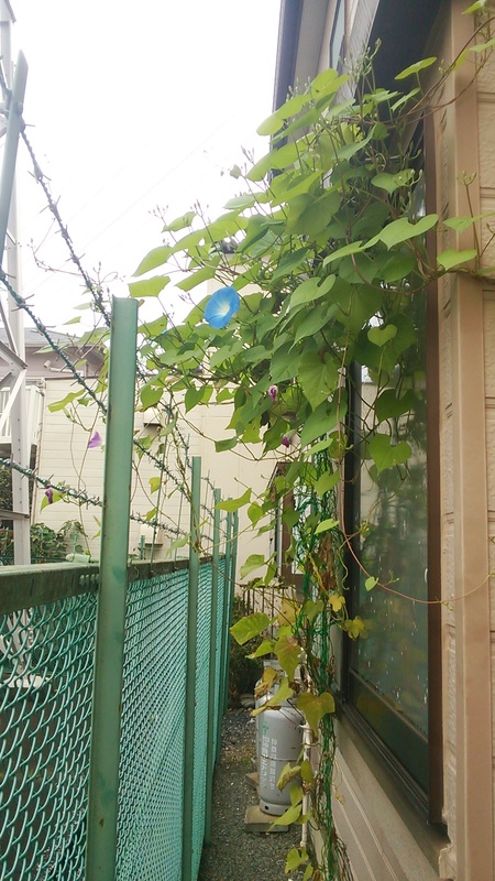 c0057776_9382289.jpg