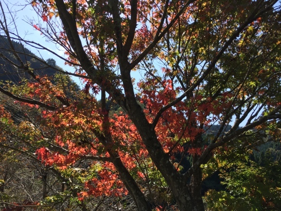 b0224178_20494218.jpg