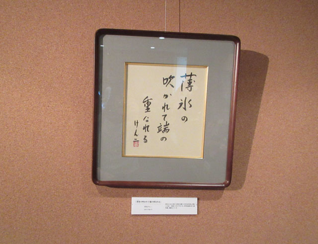 深見けん二俳句集成 深見けん二俳句集成』（ふかみけんじはいくしゅうせい