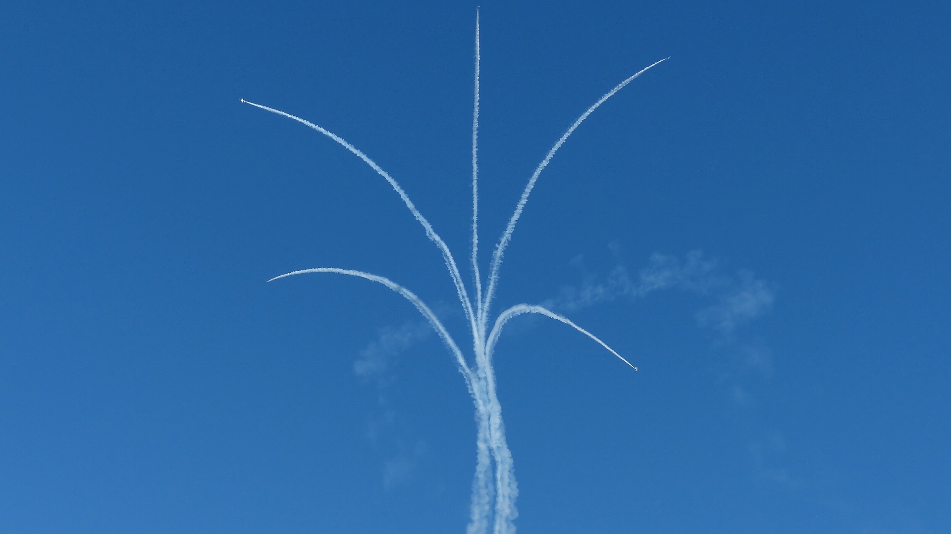 a0185081_23442086.jpg