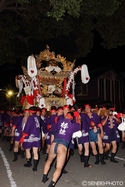 高砂神社秋祭り2016(その7)神幸祭_e0271181_23110964.jpg