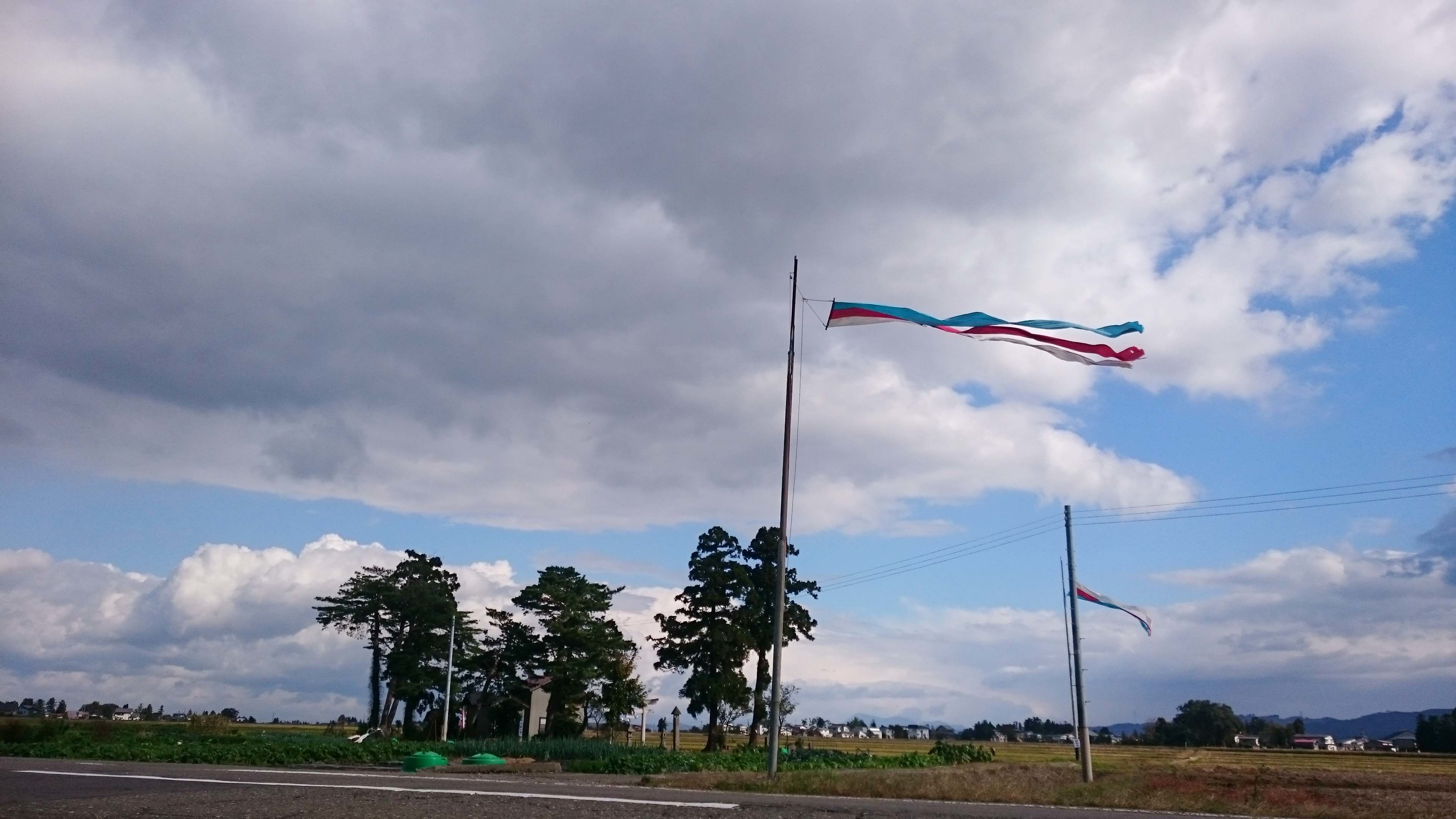 午前中、冬の雲がやってきて、風が真横に吹いている。_b0126182_21401720.jpg