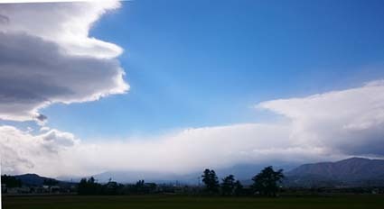 午前中、冬の雲がやってきて、風が真横に吹いている。_b0126182_21445429.jpg