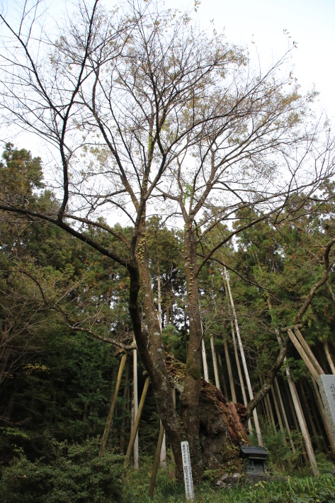 c0358784_20005339.jpg