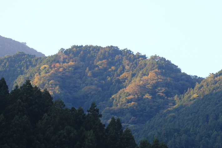 c0358784_20082629.jpg